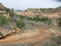 South Fork of Mule Canyon